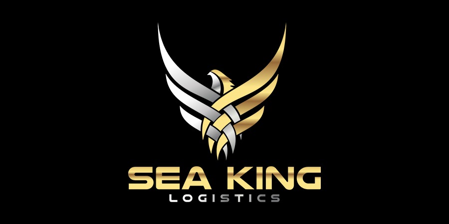 Seaking Logistics Logo